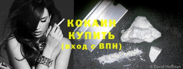 PSILOCYBIN Кулебаки