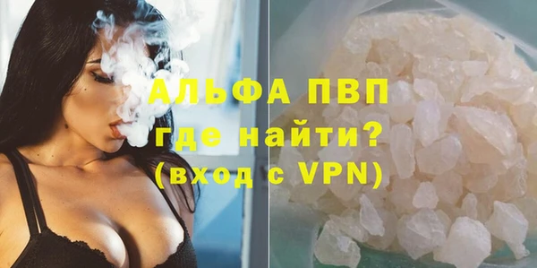 молекула духа Вяземский