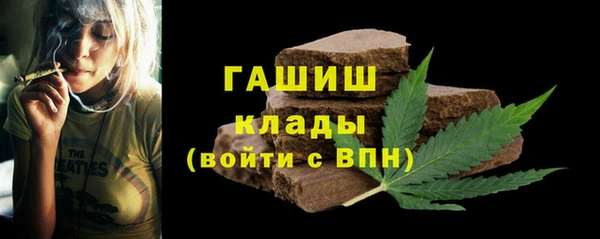 молекула духа Вяземский