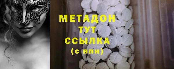 молекула духа Вяземский