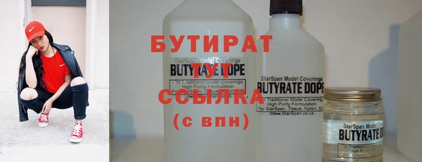 молекула духа Вяземский
