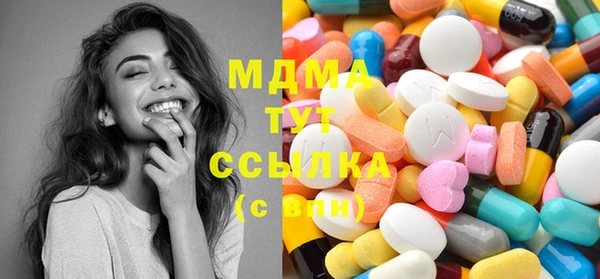 молекула духа Вяземский