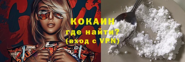 молекула духа Вяземский